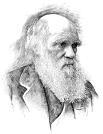 Darwin